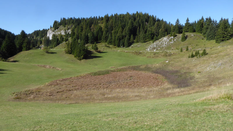 Laghi.......del TRENTINO
